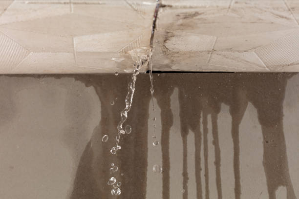 Professional Sewage Cleanup technician working in Brookville, NY